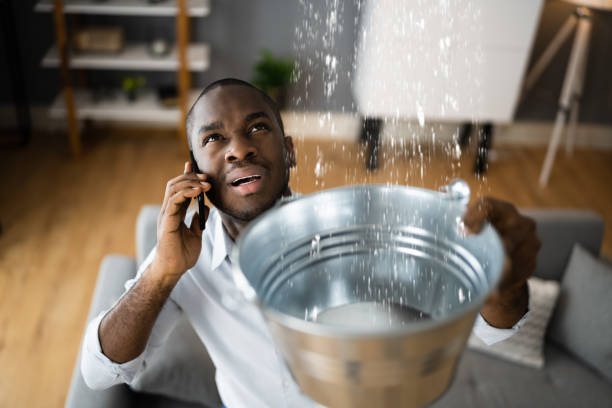 Best Water damage restoration specialists  in Mankato, MN