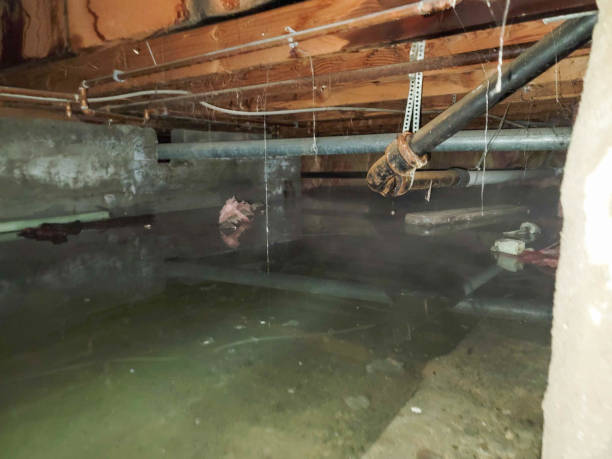 24/7 water damage repair in Mankato, MN