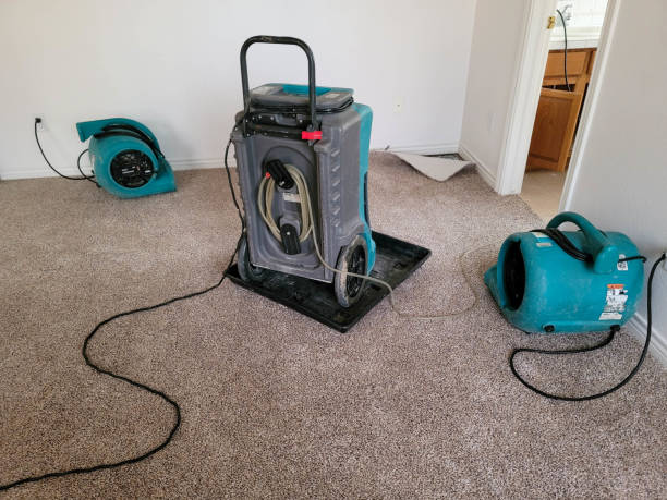 Best Flood damage cleanup  in Mankato, MN