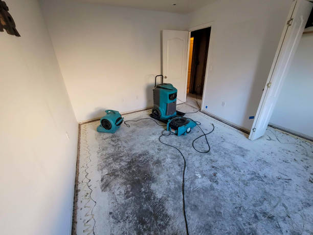 Trusted Mankato, MN Water damage restoration Experts