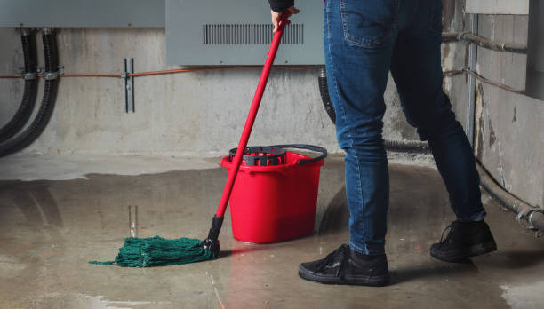 Best Local water damage restoration  in Mankato, MN