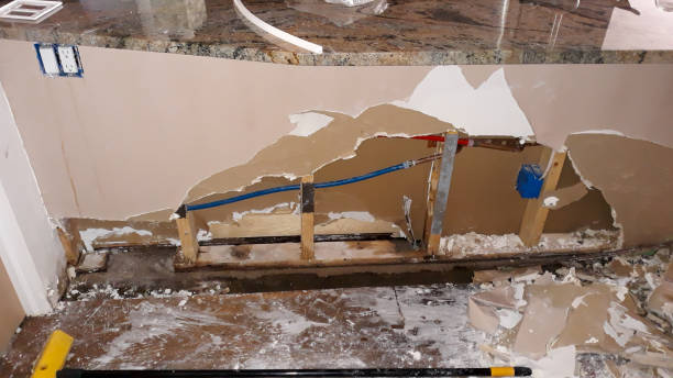Best Water damage restoration company  in Mankato, MN