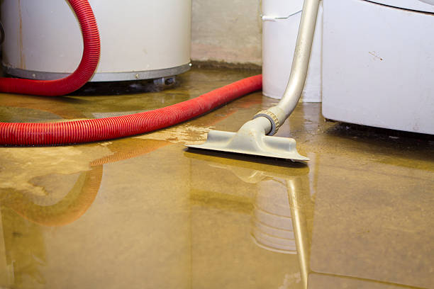 Best Fire Damage Restoration  in Mankato, MN