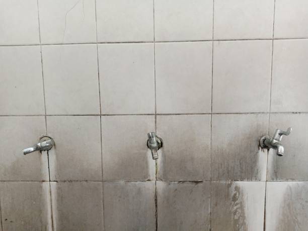 Best Carpet water damage restoration  in Mankato, MN