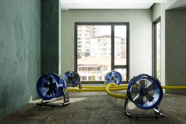 Professional Water damage restoration in Mankato, MN